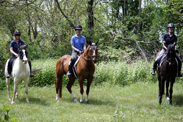 Horseback Riding Loudoun County VA